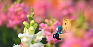shallow focus photography of LEGO mini figure holding camera taking photo of flower